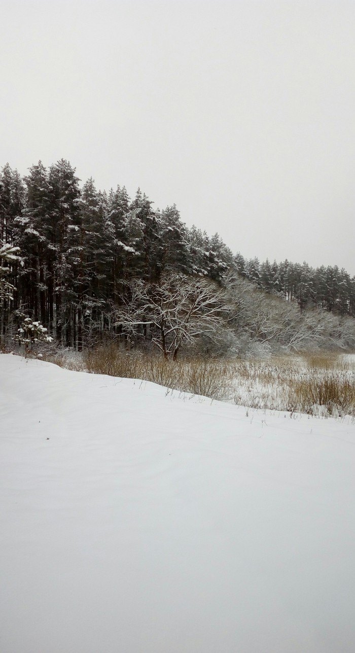 Winter.Belarus - My, Winter, Forest, Republic of Belarus, Longpost