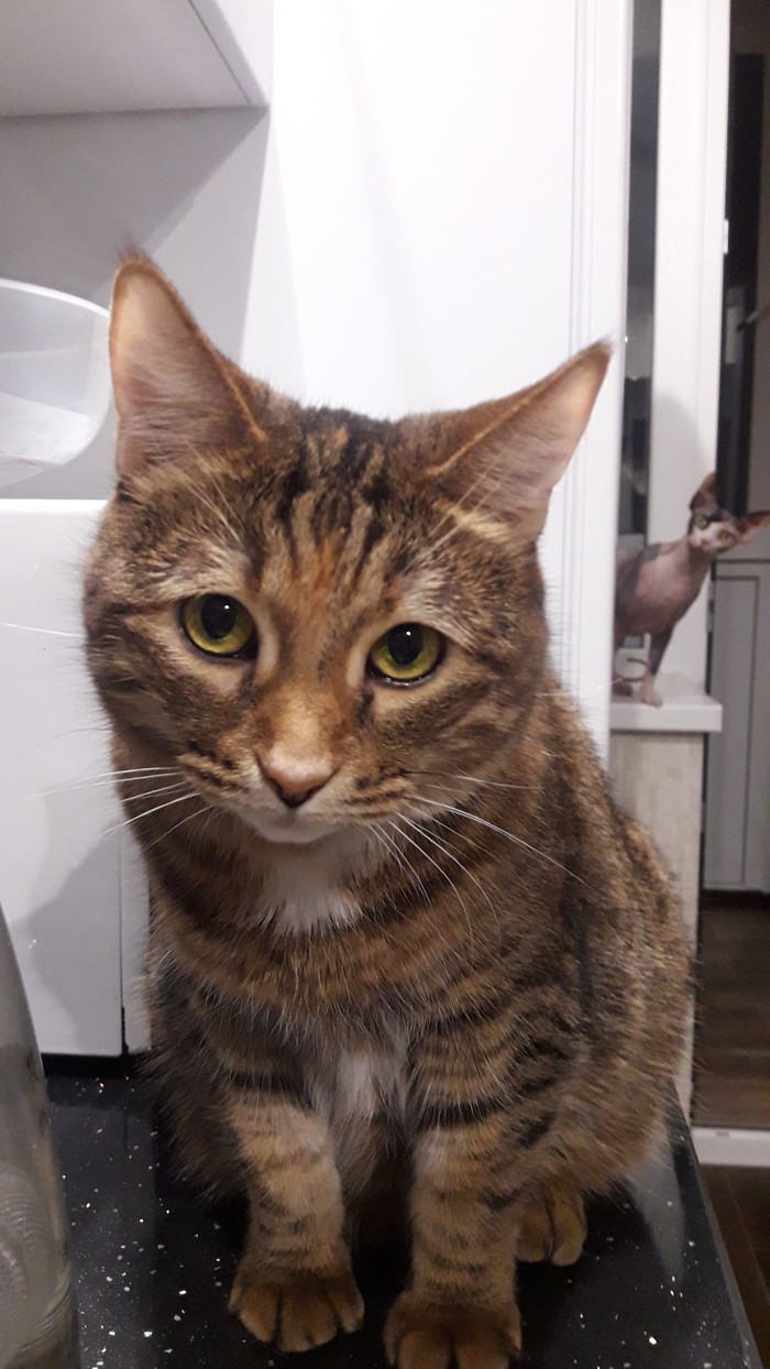 ����� ������� � ����.