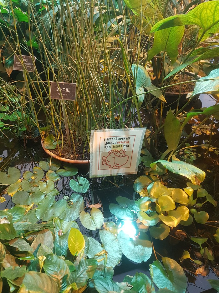 Прикольная табличка