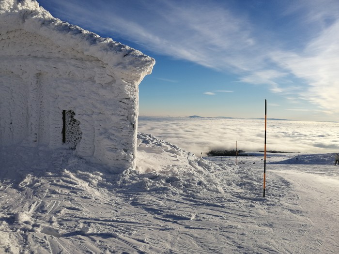 ������ ������ (��� ��������)