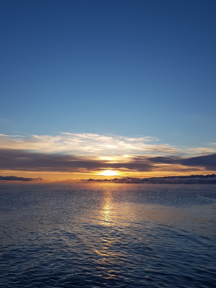 ������ ���� �� �������