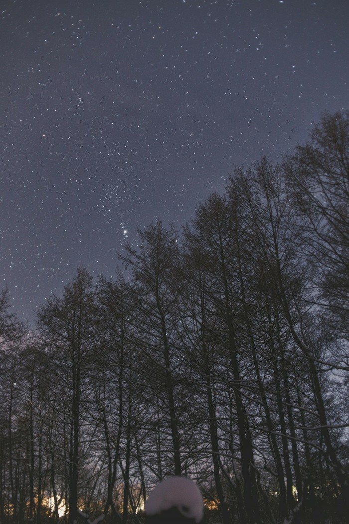 Orion Nebula and Winter Silence - Space, The photo, Astronomy, Winter, Forest, Walk, Longpost