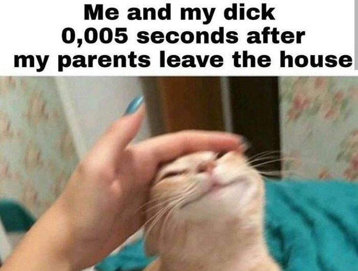 My darling. - Memes, Humor, cat, Onanist, Masturbation, Parents, Penis