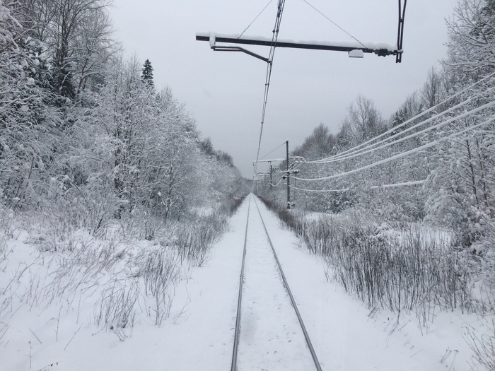 Winter forest of the Leningrad region - My, Russian Railways, Pogostje, Railway