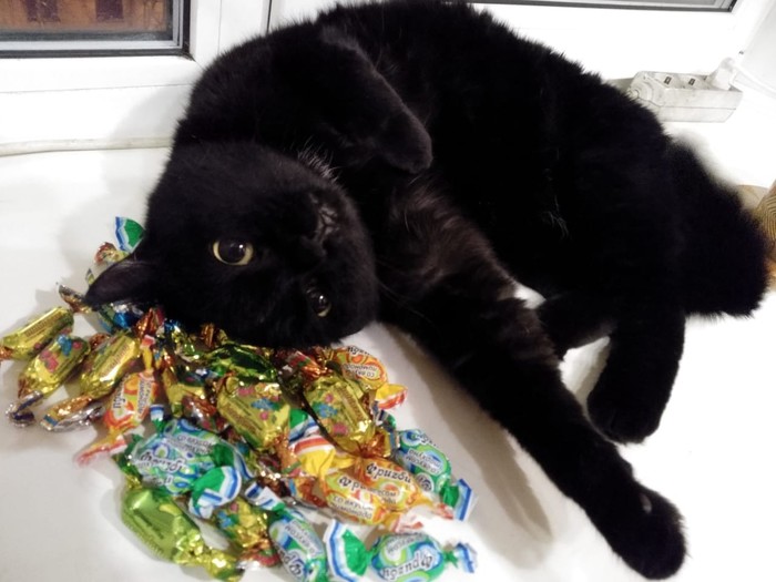 ���� ��� ������