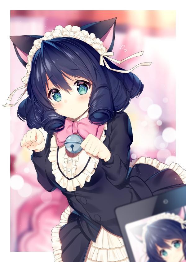 Anime Art - Anime art, Neko, , Anime, Art, Show by rock!!, Cyan Hijirikawa