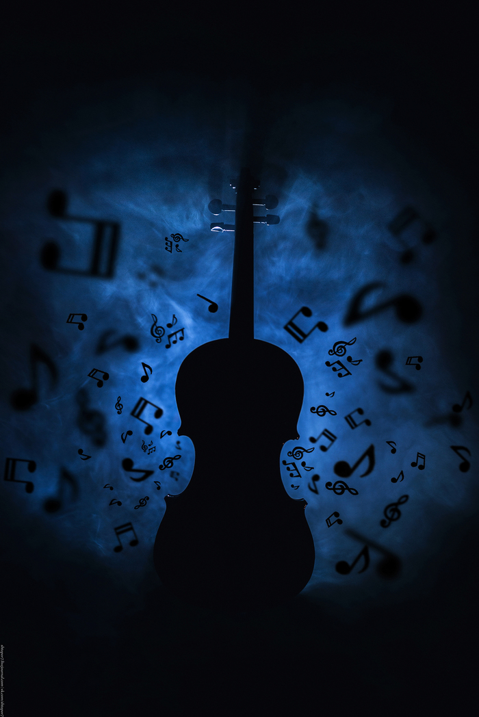 musical art - My, League of photographers, The photo, Photographer, Violin, Art