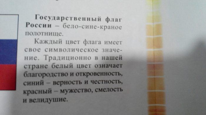 Из дневника школьника - Моё, Образование, Образование в России, Грамматические ошибки, Дневник, Жертва фурсенко, Реформа образования