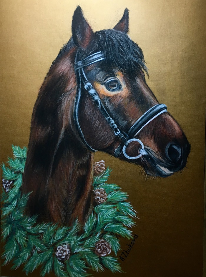 Another portrait of a horse - My, Horse, Dry pastel, Pastel, Horses, Drawing