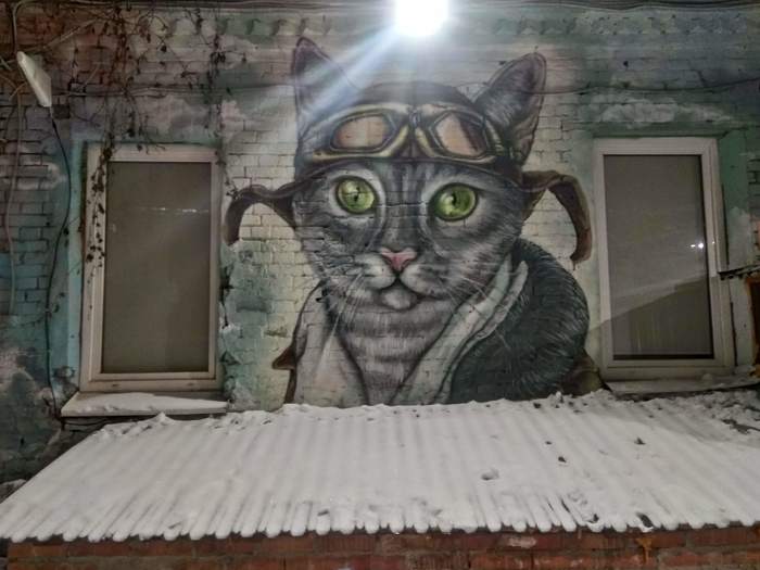 Cat graffiti in your feed - My, Graffiti, Cat with lamp, Street art, Moscow