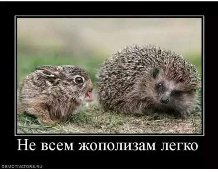 Философские наблюдения