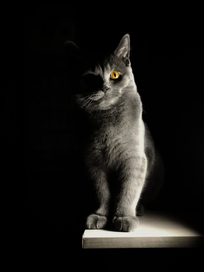 ���, ����� � ������� ��������