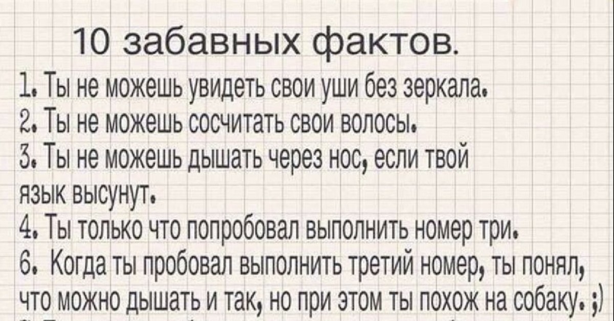 Факты о тебе. Прикольные факты. 10 Забавных фактов. 10 Интересных фактов. Смешные факты шутки.