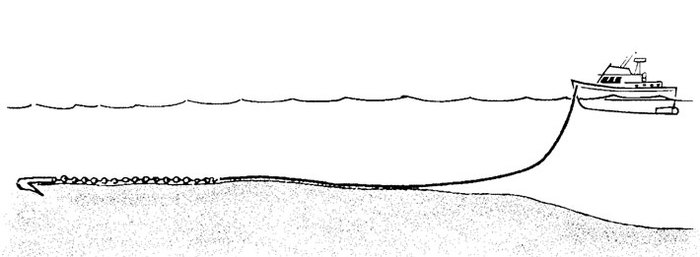 ��� �������� �����