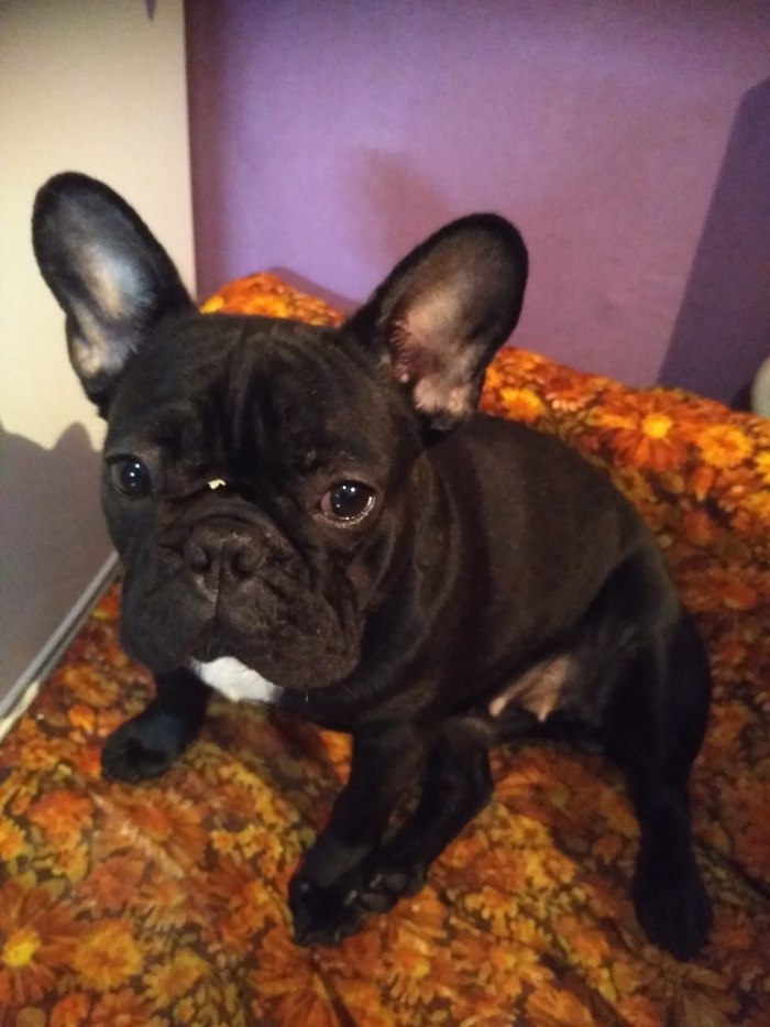 Январские праздники.