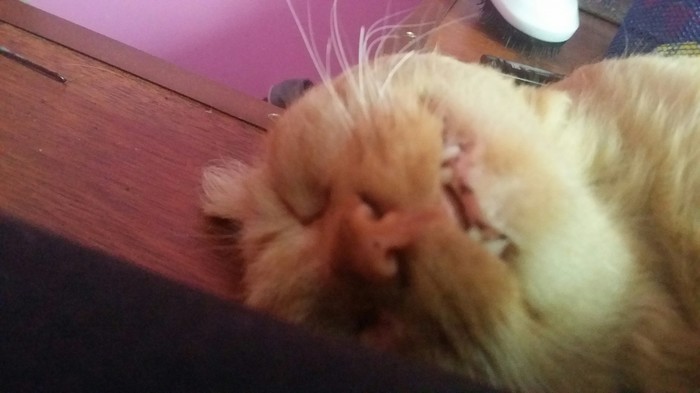 � ������������ ������� )��� ������� �������� ��� )