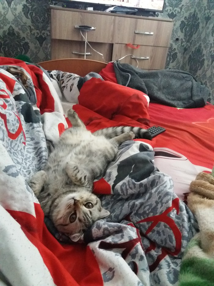 что делают в пту. Смотреть фото что делают в пту. Смотреть картинку что делают в пту. Картинка про что делают в пту. Фото что делают в пту