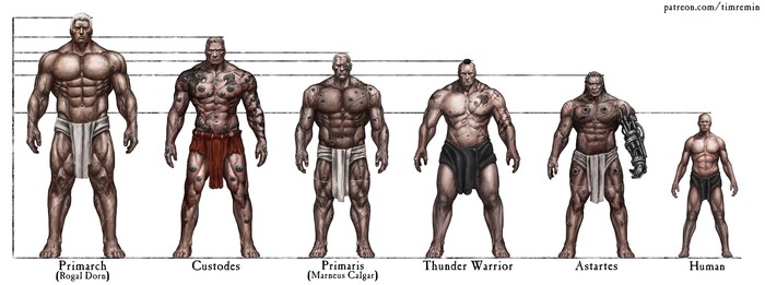 Growth - Warhammer 40k, The size