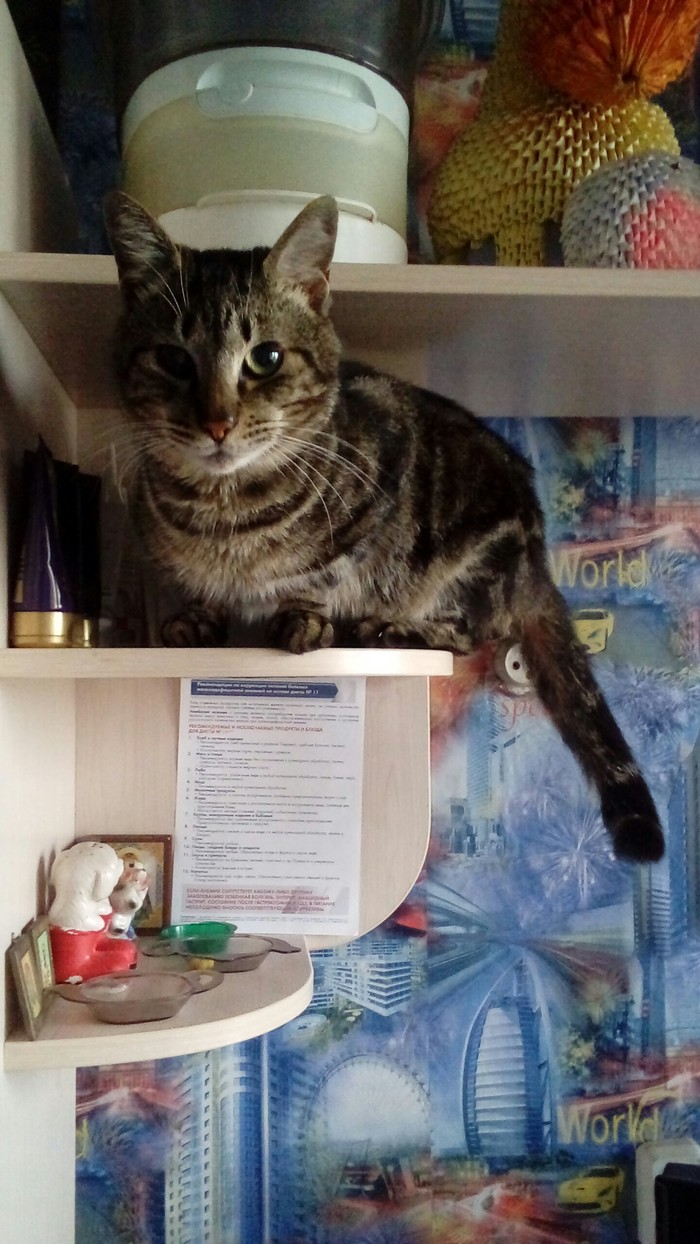 ������, ��� ���?