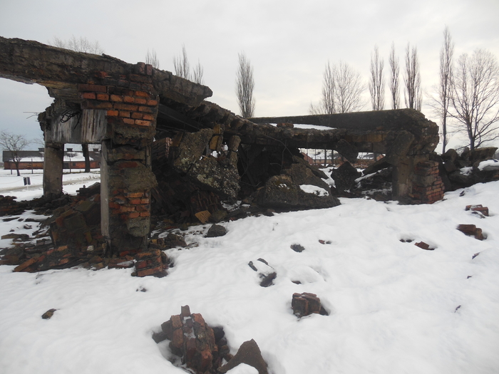Моя Поездка в концлагерь Украина, Краков, Освенцим, Одесса, Длиннопост