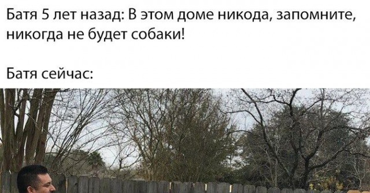 Батя и собака мем