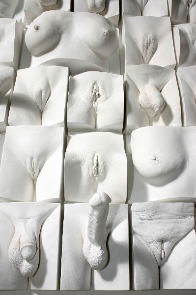 Casts of intimate areas - NSFW, , Vagina, Gypsum, Penis, Art, Breast, Longpost, Cast, Labia