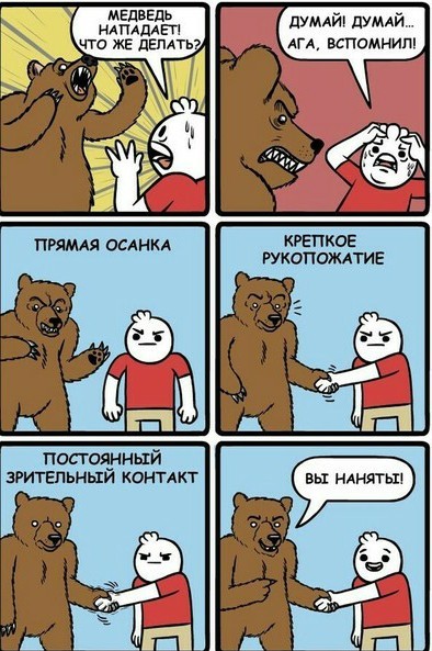 What to do if you are attacked by a bear.))) - Text, The Bears, Humor, Picture with text, Short post