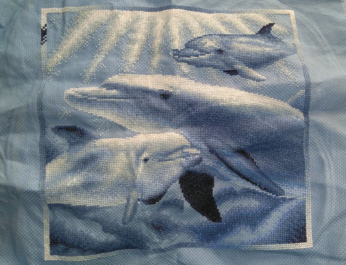 Новая вышивка) морская тема) дельфины)