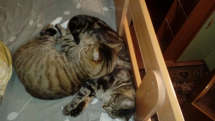 �������