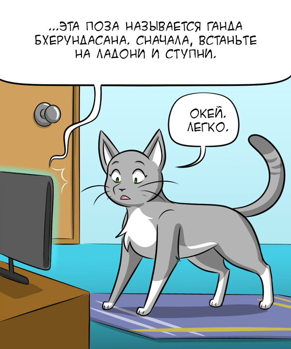 Yoga guide - Comics, GIF with background, Translation, Kat swenski, GIF, Longpost, cat, Dog