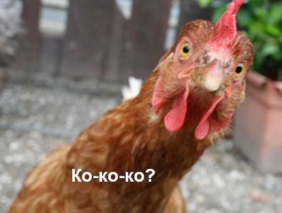 � ������ ����� ���������� ������