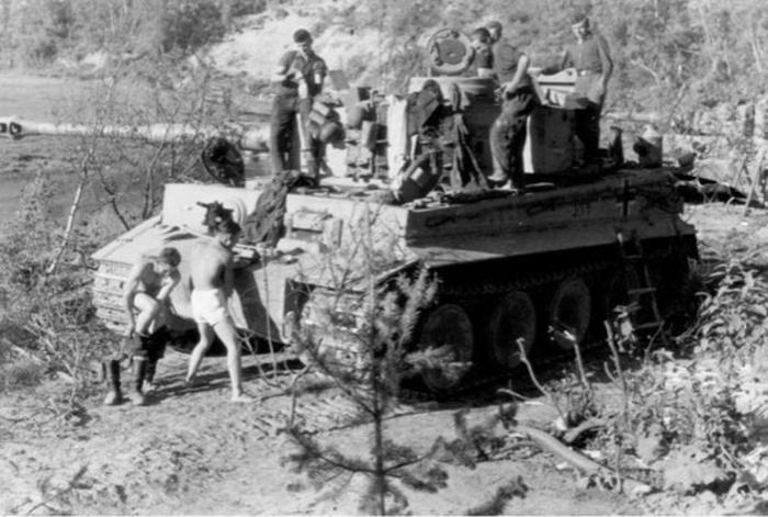bathe - Tiger, Crew, The Second World War, Black and white photo, Story