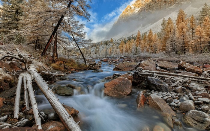 AltaiPhoto - My, Mountain Altai, The photo, Longpost, Altai Republic