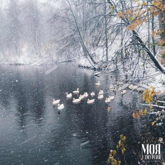 Первый снег. - Моё, Фотография, Природа, Пруд, Снег, Осень, Зима