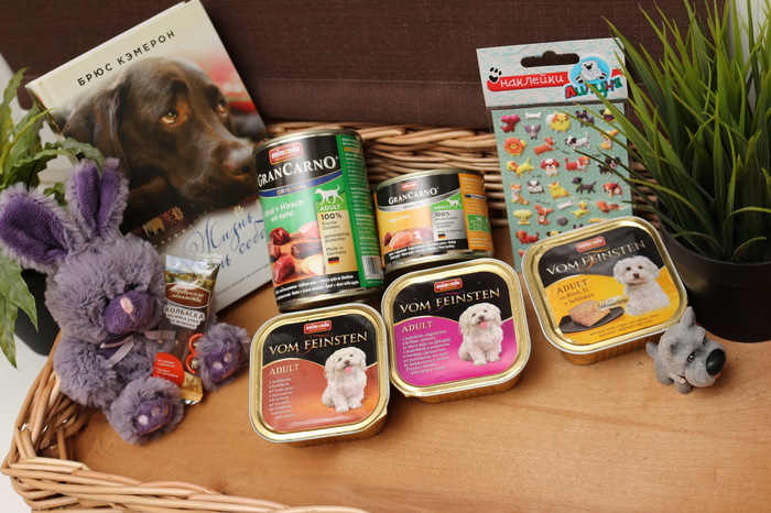 ������� ����������� � �������� �������!