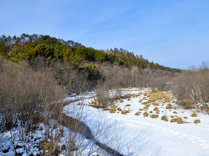 Благовещенский район, Колосок