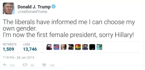 And what could you do? - Floor, Liberals, Gender, Donald Trump, Translation, Twitter, Fake, 9GAG