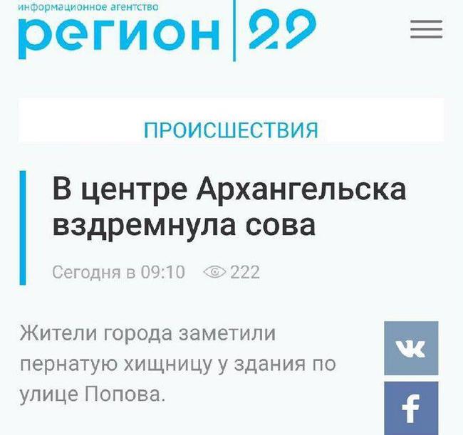 Сборка лучших заголовков сми за неделю. - СМИ, Заголовок, Новости, Длиннопост, Скриншот, СМИ и пресса