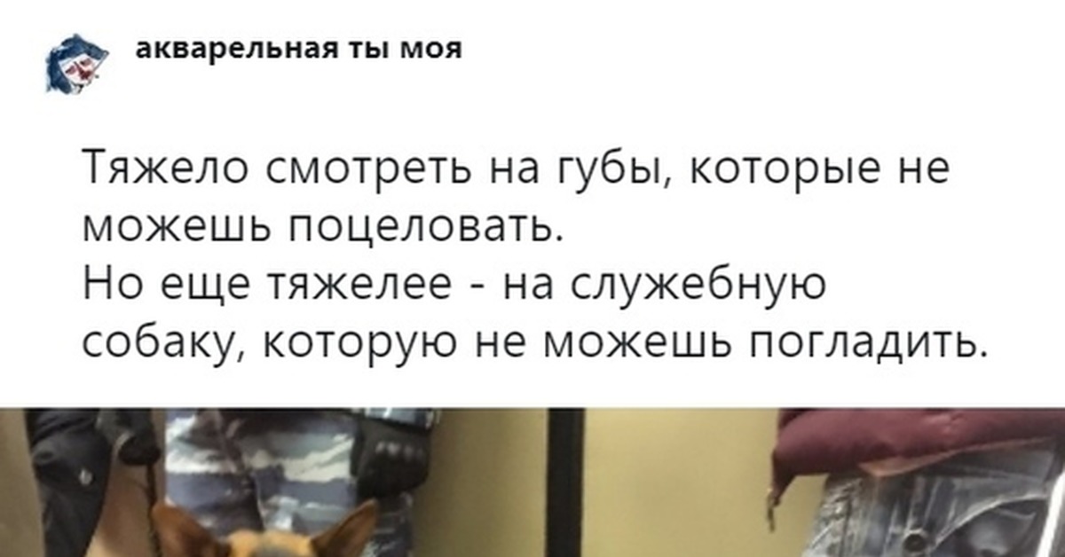 Тяжело смотреть на губы которые не можешь поцеловать фото