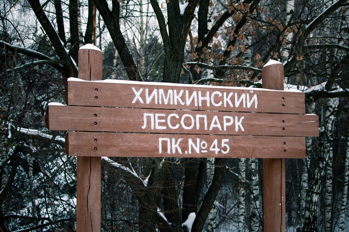 Photowalk in Khimki and Levoberezhny - My, The photo, Khimki, Levoberezhny, Forest, Nature, Birds, Animals, Longpost