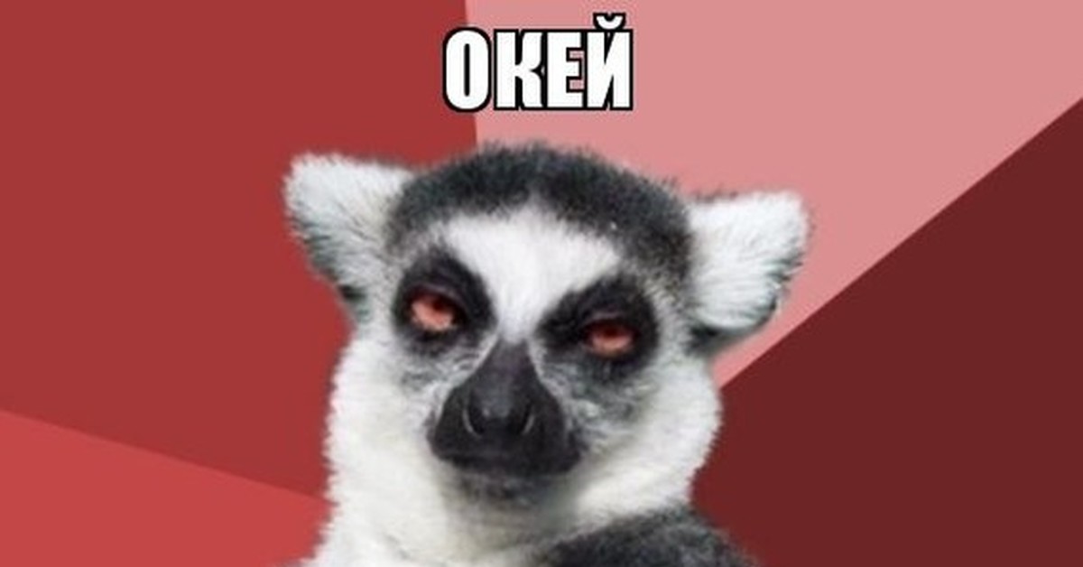 Днем знаний, узбагойся картинки с надписью лемур