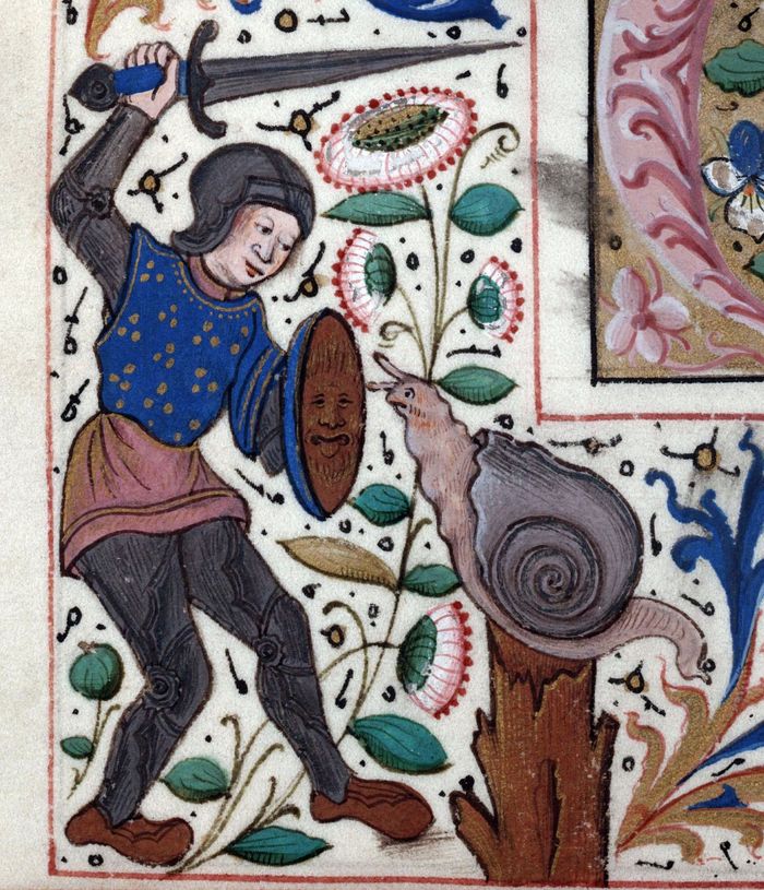 This image is perfect and no comments - Suffering middle ages, Snail, Knight