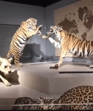 Првт