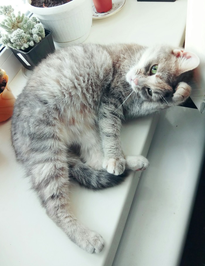 - ���� ��� ����� :)