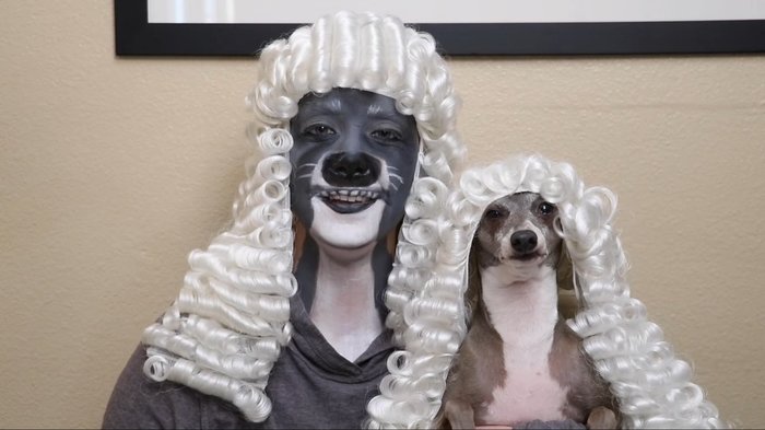 Is my owner an idiot? - My master is an idiot, Dog, Jenna marbles