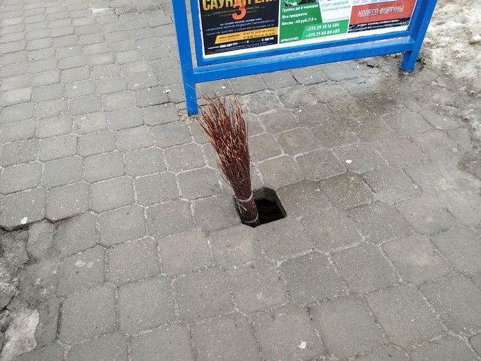 Рождение дворника.