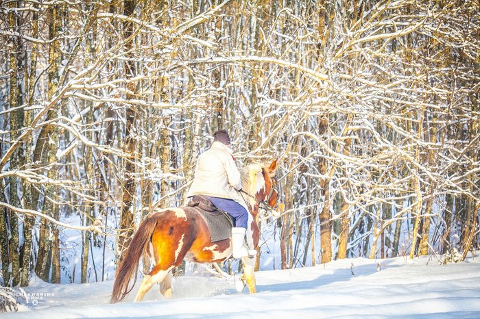В избушке | Пикабу