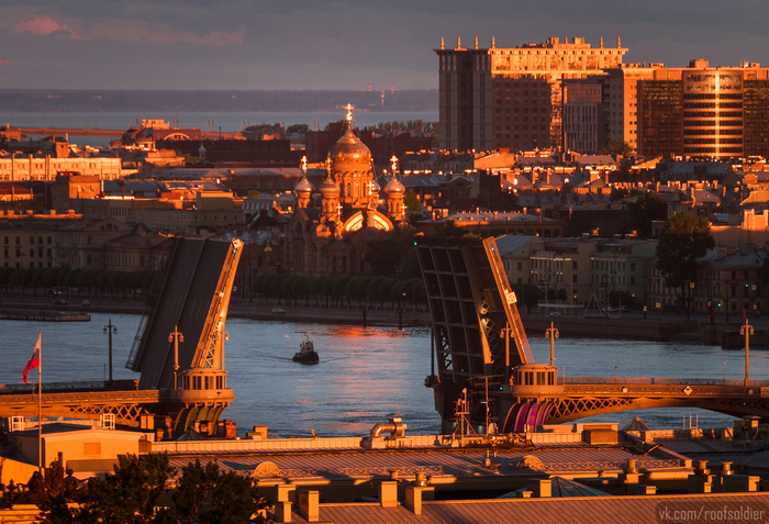 A couple more shots of dawn Petersburg - My, Alexey Golubev, Photographer, The photo, Saint Petersburg, Drawbridges, Roof, dawn