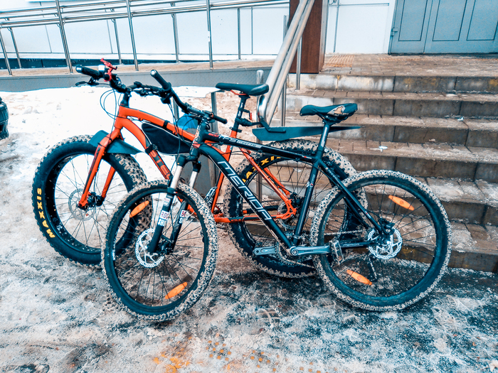 Skis? No, haven't heard - My, A bike, The photo, Bike ride, Moscow region, , Winter, Longpost