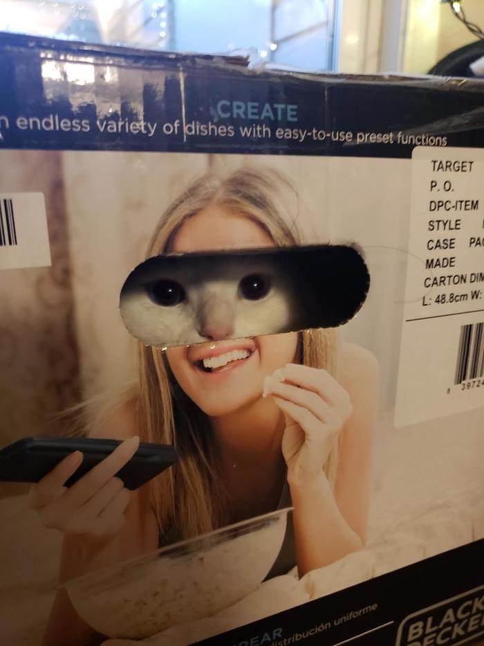 You've been spotted ... - cat, Box, Hole, Eyes, Coincidence